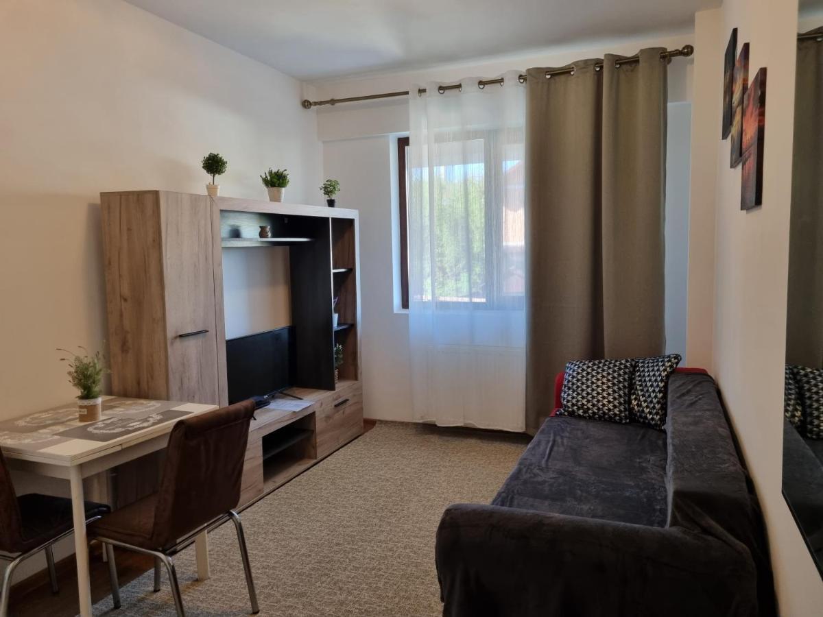 Ultracentral & Cozy, Palas Apt Iasi Eksteriør bilde